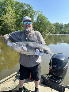 Hooked on James River catfish!
